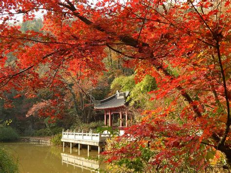 南京山|南京栖霞山